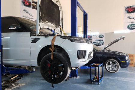 WhatsApp Image 2025-01-16 at 11.30.42 AM