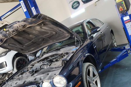 WhatsApp Image 2025-01-16 at 11.30.43 AM (1)